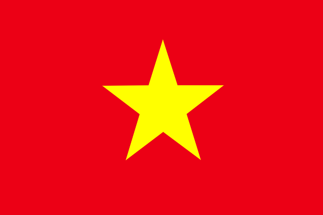 flag-vi